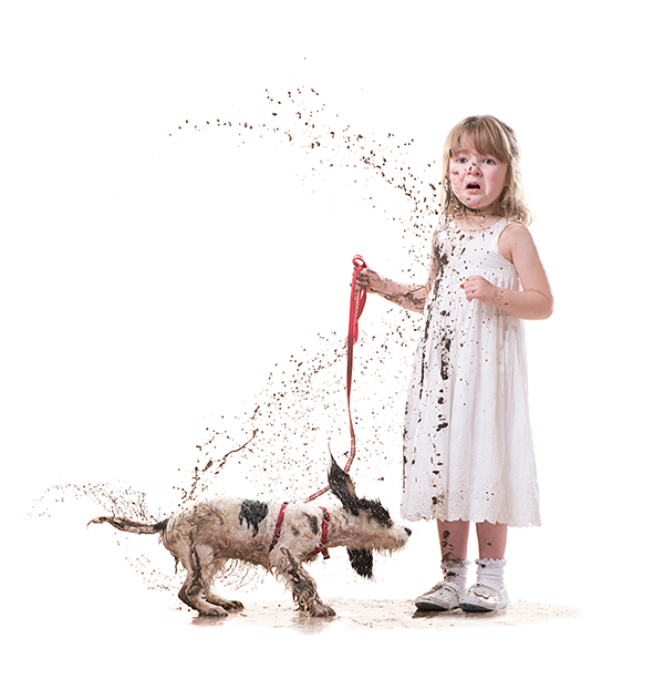 Dog Grooming